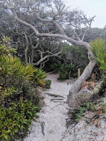 Grayton Beach State Park All You Need To Know BEFORE You Go With Photos TripAdvisor