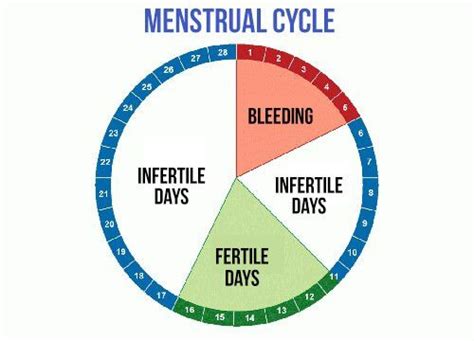 Find Out About Your Most Fertile Days Fertility Day How To Know