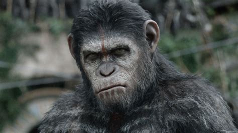 motion capture maestro andy serkis on ‘dawn of the planet of the apes and revolutionizing cinema