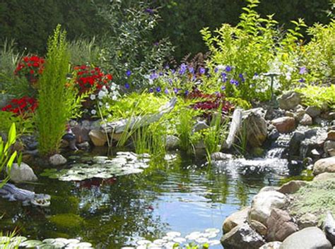 How to build a backyard pond. Natural backyard garden pond- Pacific Ponds