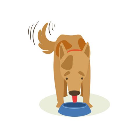 Dog Drinking From Bowl Illustrations Royalty Free Vector Graphics