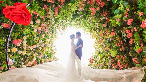 wedding wallpapers top free wedding backgrounds wallpaperaccess romantic wedding photography
