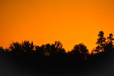 Free Images Sunset Sunrise Atmosphere Evening Tree Dawn