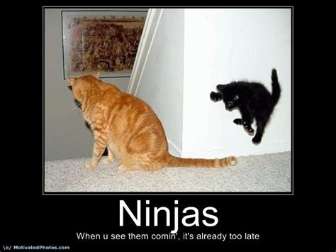 Motivational Posters Funny Ninjas Hd Wallpapers
