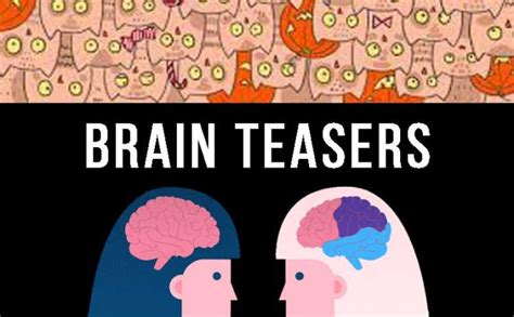 60 Latest Brain Teasers Questions And Answers For You