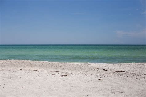 Red Tide Status In Sarasota Manatee Counties Your Observer