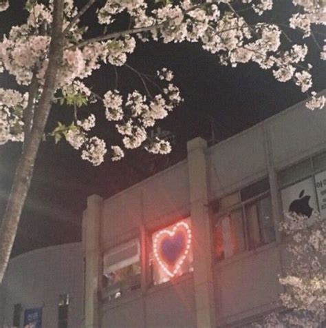 Hearts Lights Trees Buildings Aesthetic Photography Aesthetic