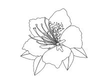 Ohne titel tattoos flower tattoos designs. Blumen und Blüten - Ausmalbilder für Kinder | Ausmalen, Ausmalbilder, Malvorlagen blumen