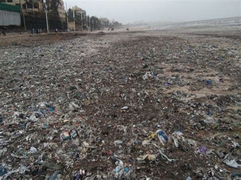 जुहू सिल्व्हर बीचवर कचऱ्याचं साम्राज्य Marathi News Juhu Beach