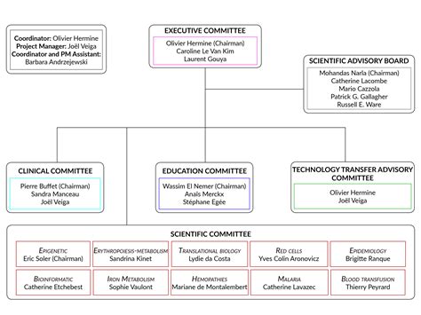 Organization Chart Laboratory Of Excellence Gr Ex