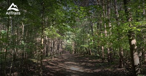 10 Best Trails And Hikes In Newmarket Alltrails