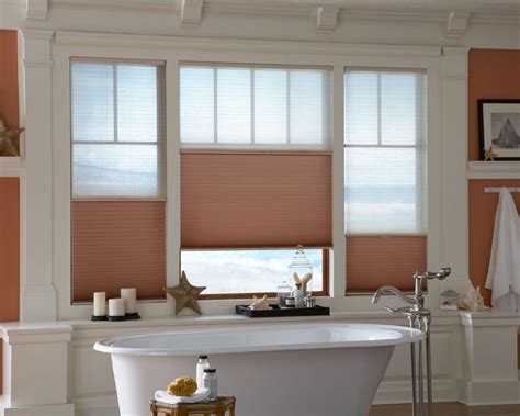 Expose Your View With Day Or Night Option Cellular Shades Kids Window