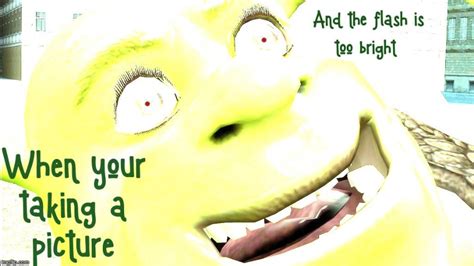 Shrek Being A Complete Grape Imgflip