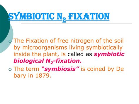 Ppt Nitrogen Metabolism Fixation Powerpoint Presentation Free