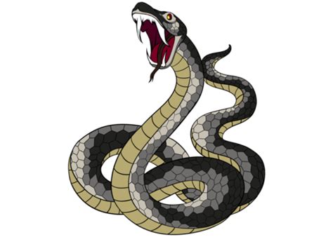 Cute Snake Cartoon Snake Cartoon Viper Png Transparent Clipart Image