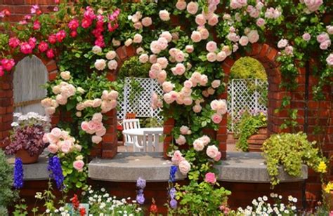 Grow Climbing Roses Add Beauty And Style To Your Garden