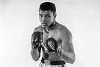 Muhammad Ali Net Worth - ABTC