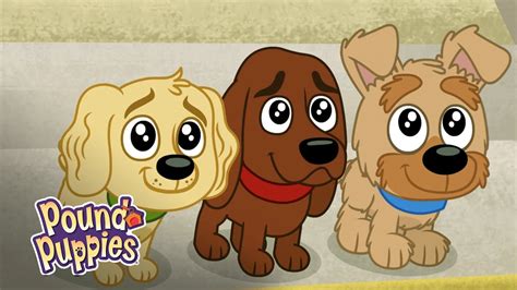One stop shop for everything pound puppies. Pound Puppies - Charming Puppies - YouTube