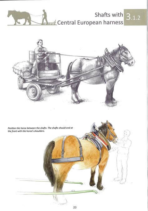 The Hitches For Draught Horses New Guidebook From Schaff Mat Päerd