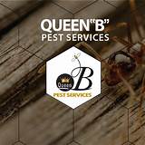 Pest Control Services Baltimore Images