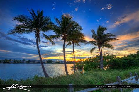 Coconut Tree Sunset At Jupiter Island Florida Royal Stock Photo