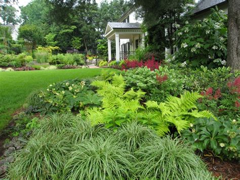 146 Best Zone 5 Deer Resistant Plants Images On Pinterest Garden