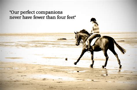 Funny Horseback Riding Quotes Quotesgram