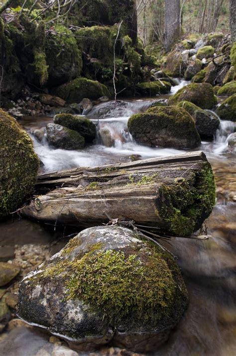 Creek With Mossy Rocks Stock Image Image Of Green Stream 19248773