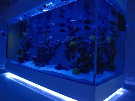 Dsps Tank From Thailand 1000 Gallon Looks Like Its Floating D