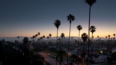 Sky Sunset Los Angeles Palm Trees Cityscape Wallpapers Hd Desktop