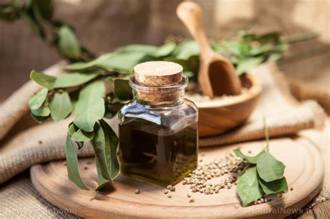 It's also a sustainable crop. The many health benefits of hemp oil - NaturalNews.com