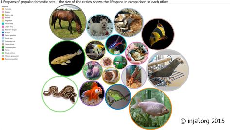 Lifespans Of Fish And Other Animals Injaf