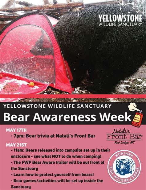Bear Awareness Week The Red Lodge Area Community Foundation