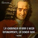 120 Frases de Voltaire, filósofo de la Revolución Francesa [Con Imágenes]