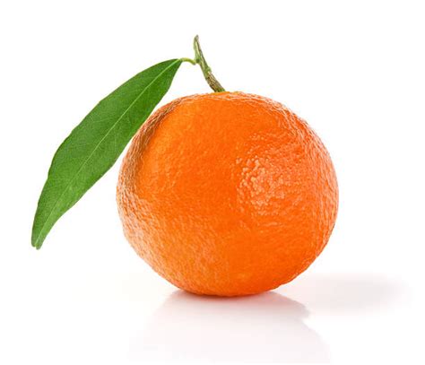 Best Single Orange Fruit Stock Photos Pictures And Royalty Free Images