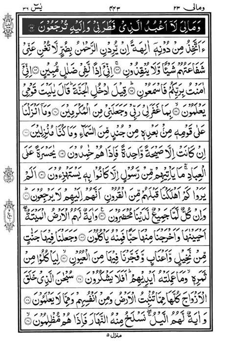 Surat Yasin Full Surah Yaseen Arabic For Android Apk Download It Sexiezpicz Web Porn