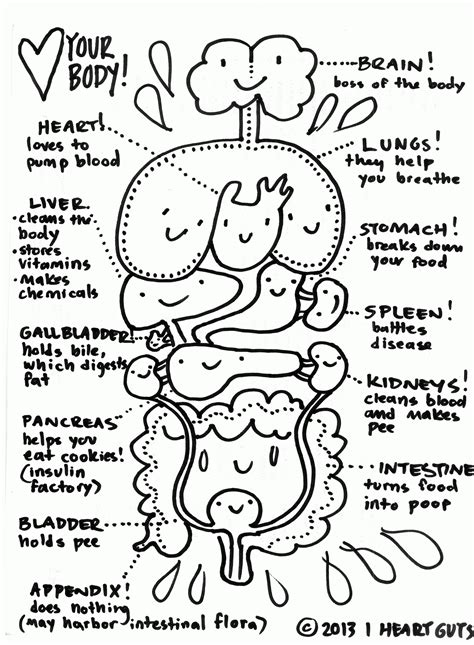 Free Preschoolers Coloring Pages Of The Human Body Download Free