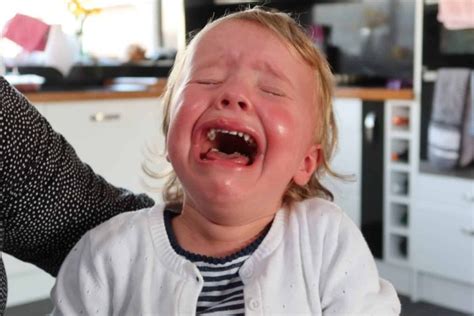 Tantrums 3 Great Ways With Dealing With A Childs Tantrums Whoobly