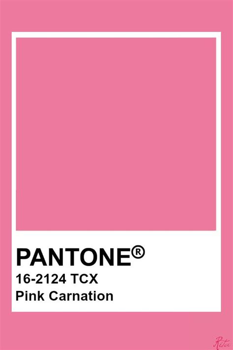 Pantone Pink Carnation Pantone Pink Pantone Colour Palettes Pantone