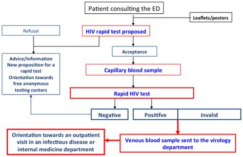 Flow Chart Of Procedures For Hiv Screening With A Rapid Test In The