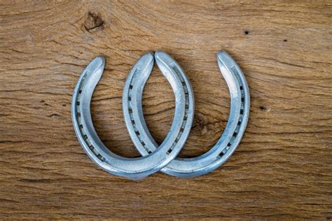 Six Different Types Of Horse Shoes Uses And Where To Purchase Horses