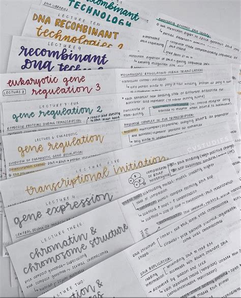 A N G E L C O L O R S 💫 School Organization Notes Study Notes