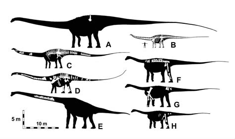 Drag and drop countries around the map to compare their relative size. Jurassic Thread: The All-Encompassing Thread For Dinosaur ...
