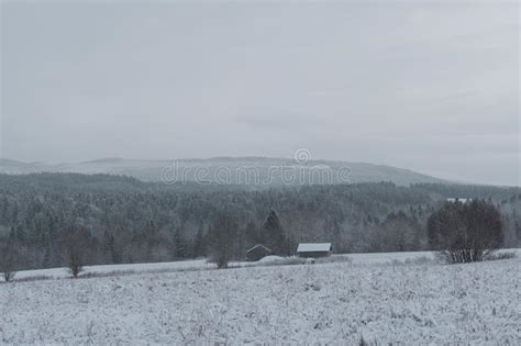 Snow Covered Meadow With Mountains And Forest In Background