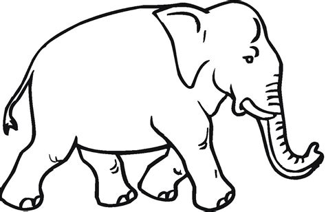 Kumpulan Gambar Gajah Kartun Lucu Terbaru Gambarcoloring