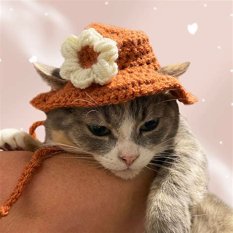 Cat Crochet Hat Etsy