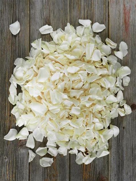 Wholesale 360 Grams White Roses Petals Delivered Online Flowerfarm