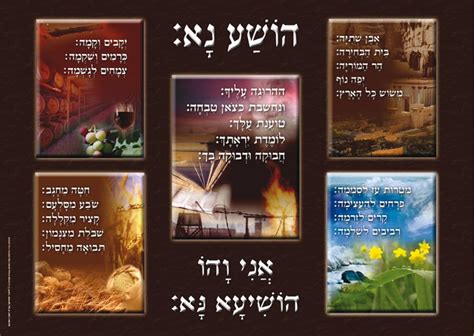Laminated Sukkah Poster Hoshanos 20 X28 The Judaica Place