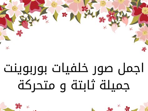 اجمل صور خلفيات بوربوينت جميلة ثابتة و متحركة خلفيات
