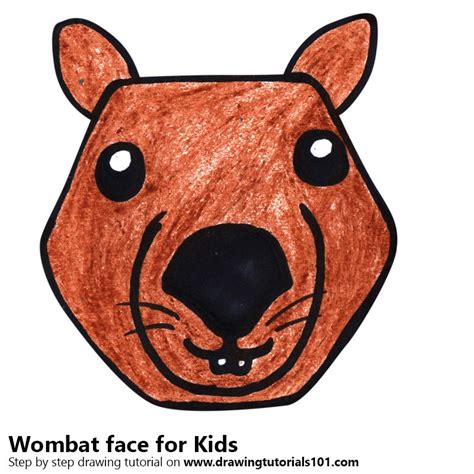 Learn How To Draw A Wombat Face For Kids Animal Faces For